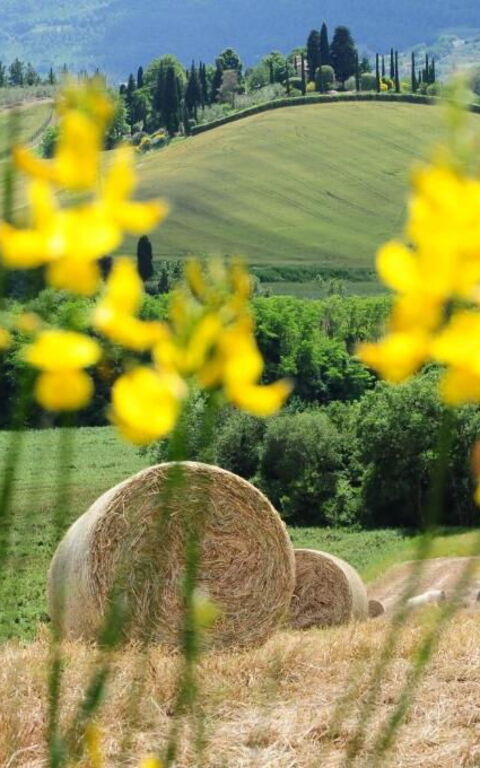 Palazzo Bello: Draussen