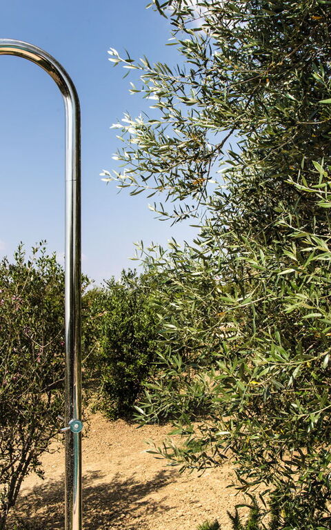 Villa Chiugi: Draussen, Garten