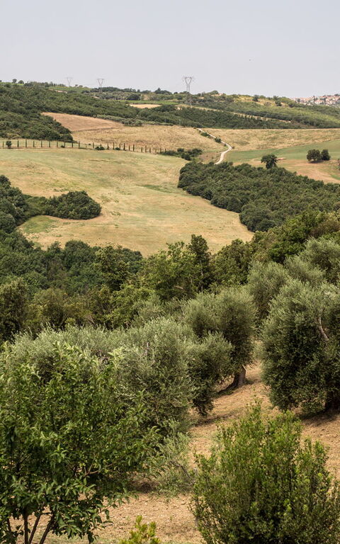 Villa Chiugi: Ansichten