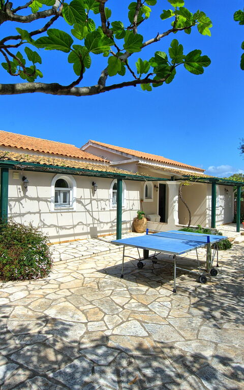 Votana House: Außen, Garten