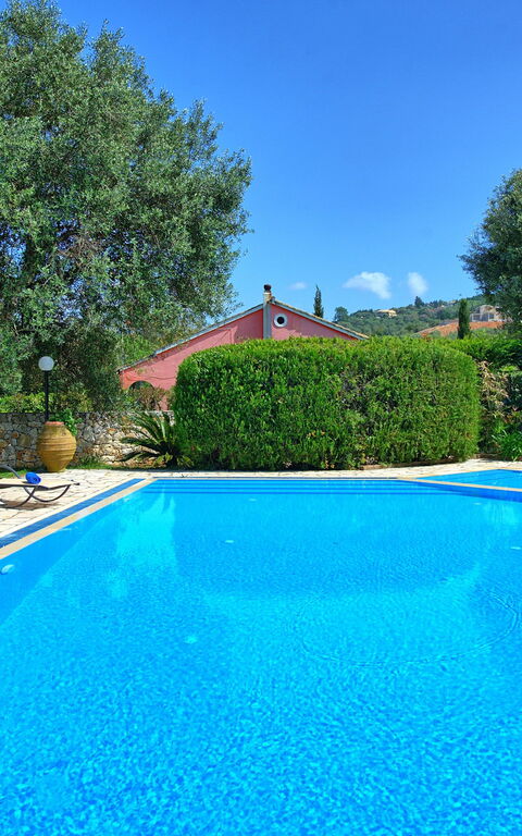 Votana House: Schwimmbad