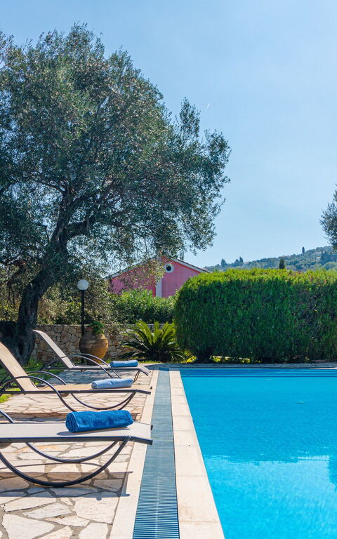 Votana House: Draussen, Garten, Schwimmbad, Sommer