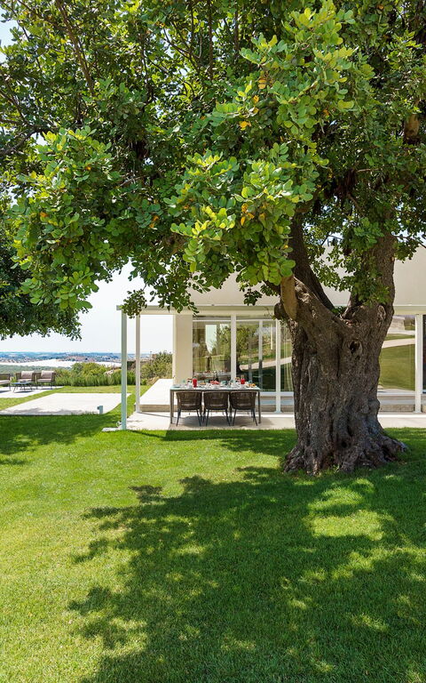 Villa Colleverde: Draussen, Garten