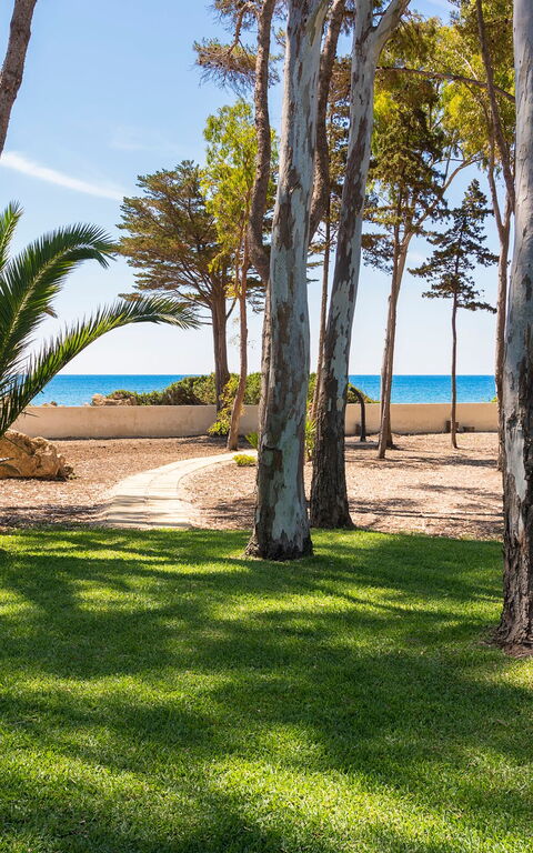 Marinella Punta Milocca: Draussen, Garten