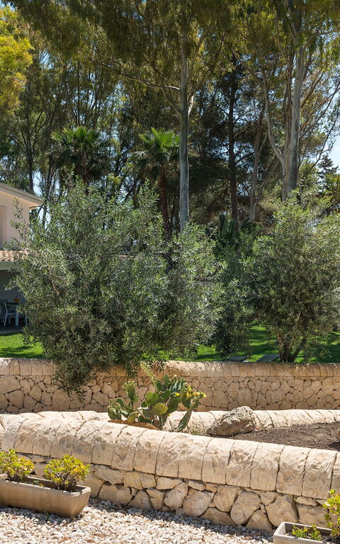 Marinella Punta Milocca: Draussen, Garten