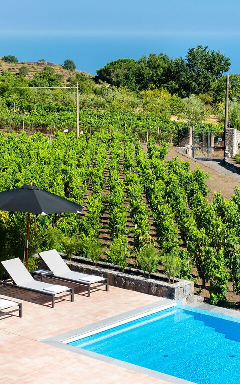 Villa Palmento Rosa: Schwimmbad