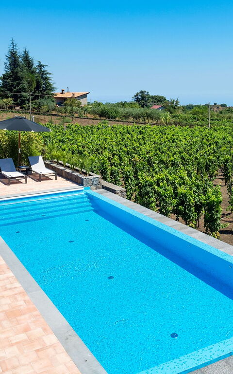 Villa Palmento Rosa: Schwimmbad