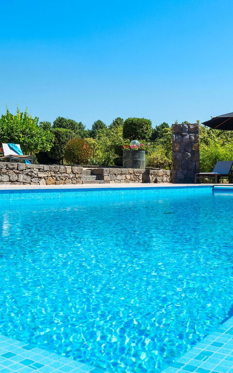 Villa Palmento Rosa: Schwimmbad