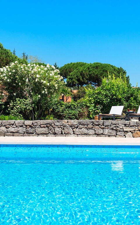 Villa Palmento Rosa: Schwimmbad