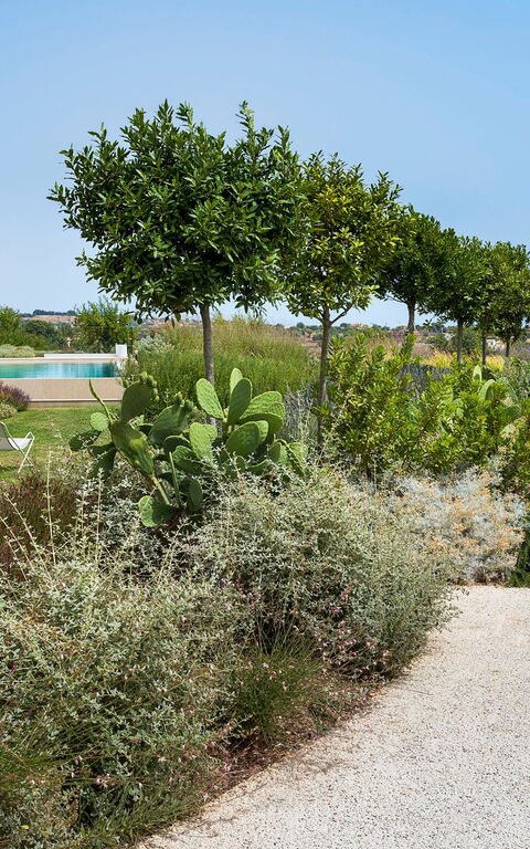 Villa Meravilla: Draussen, Garten