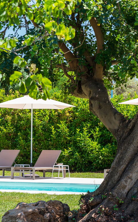 Villa Girasole: Garten, Schwimmbad