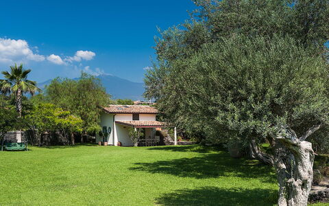 Unterkunft Casetta: Garten