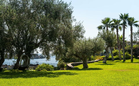 Unterkunft Casetta: Garten