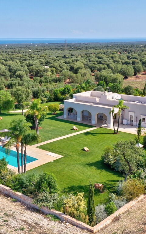 Villa Bellavista: Ansichten, Garten, Schwimmbad