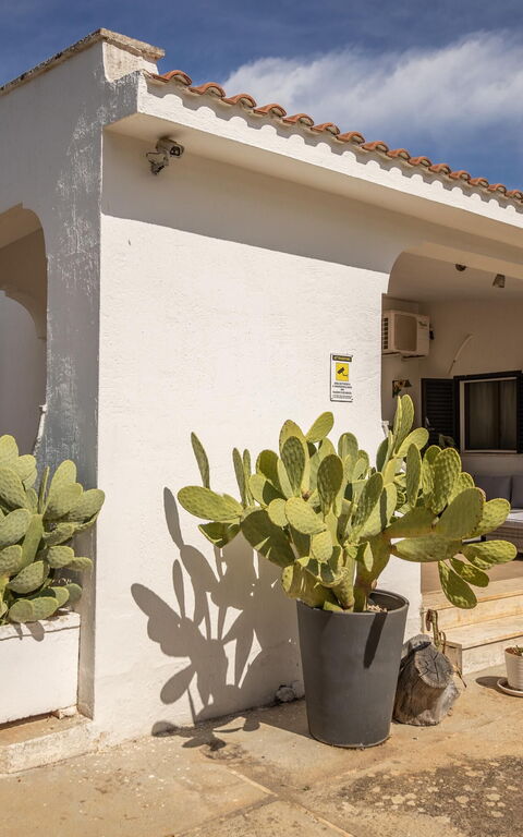 Villa Natura: Außen, Balkon / Terrasse / Patio, Haupteingang