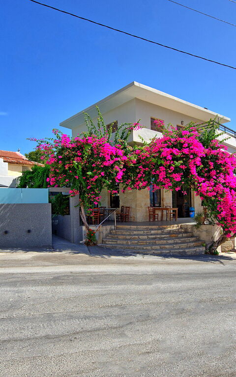 Casa Cafenio: Draussen