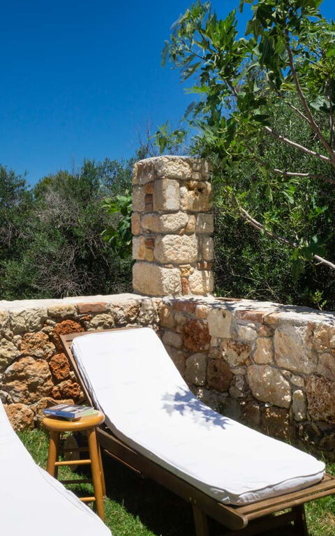 Villa Giani: Ansichten, Balkon / Terrasse / Patio, Draussen, Garten