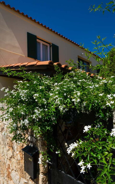 Villa Giani: Außen, Garten