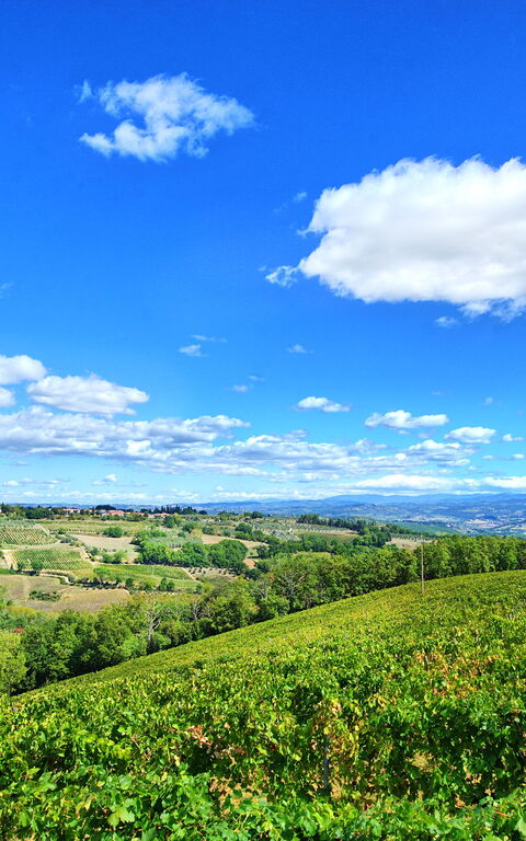 Montauto: Ansichten, Draussen