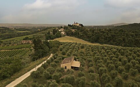 Unterkunft Capanna: Ansichten