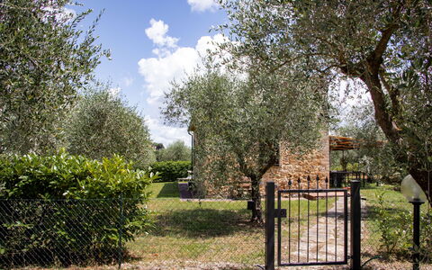 Unterkunft Capanna: Außen, Garten