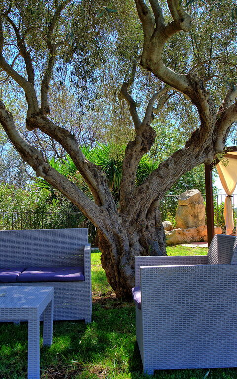 Villa Maddalena: Außen, Draussen, Garten