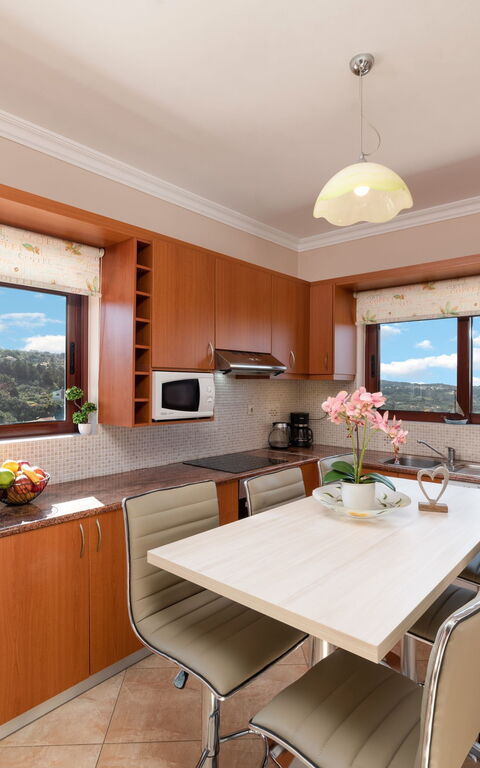 Villa Halepi: Küche