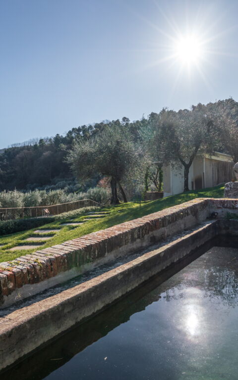 Villa Bellostare: Außen, Draussen, Garten