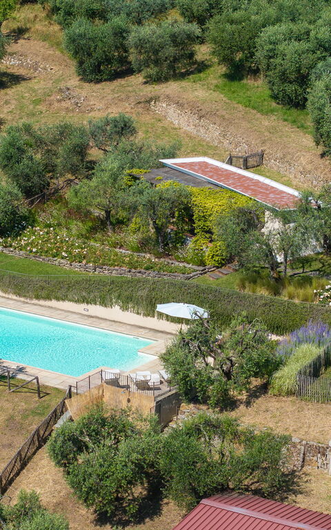 Villa Bellostare: Ansichten, Draussen, Garten, Schwimmbad
