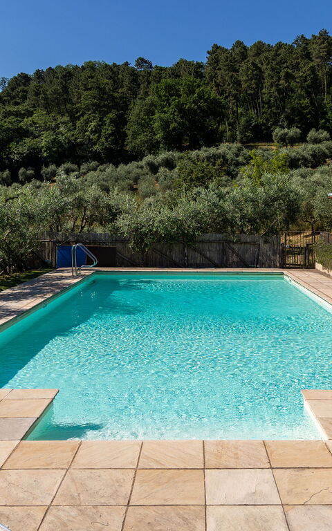 Villa Bellostare: Draussen, Schwimmbad