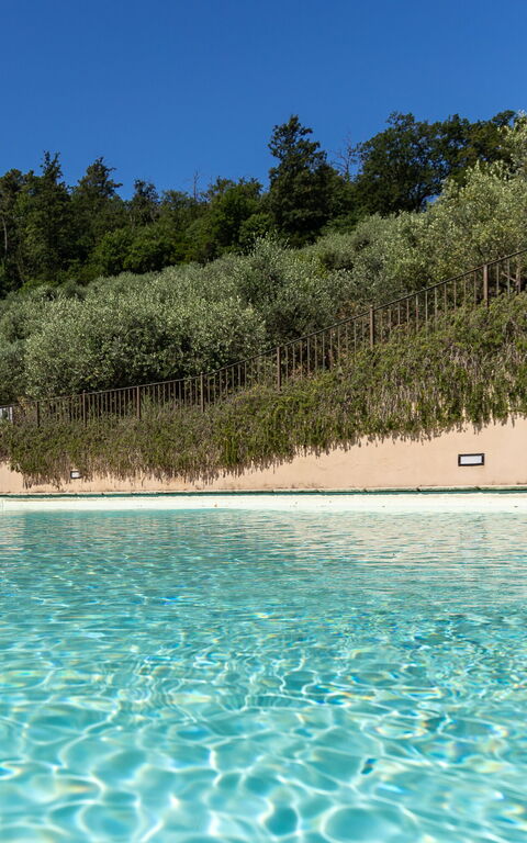 Villa Bellostare: Draussen, Schwimmbad