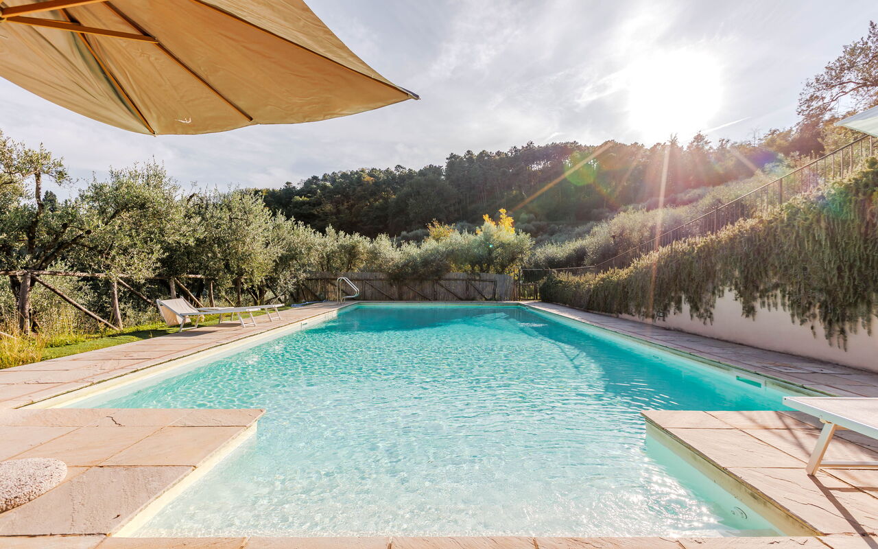 Villa Bellostare: Draussen, Garten, Schwimmbad