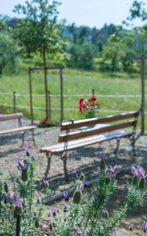 Bello Stare: Außen, Draussen