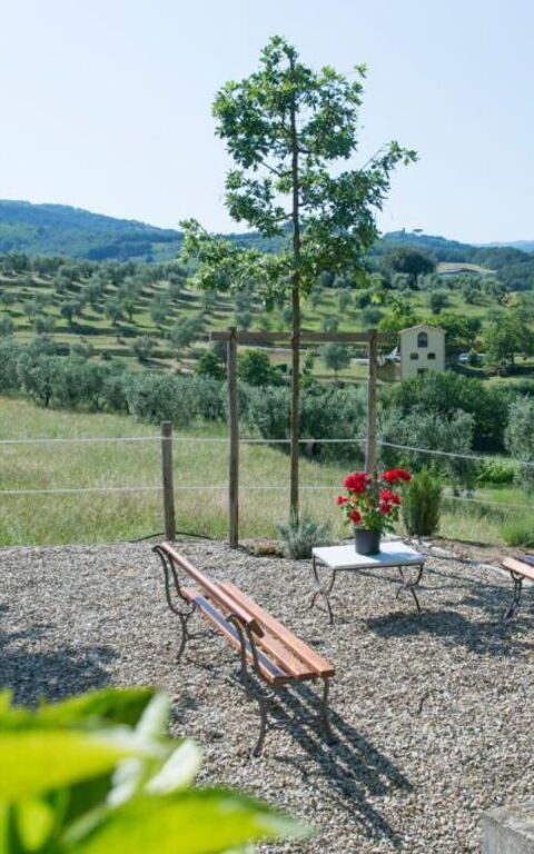 Bello Stare: Außen, Draussen