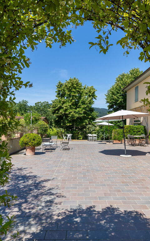 Bello Stare: Draussen, Garten