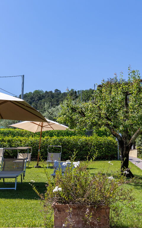 Bello Stare: Draussen, Garten