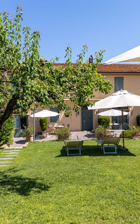 Bello Stare: Draussen, Garten