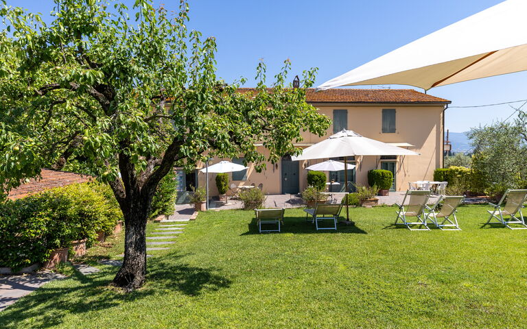 Bello Stare: Draussen, Garten