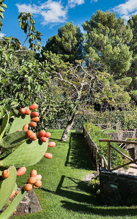 Villa Montefiore: Garten