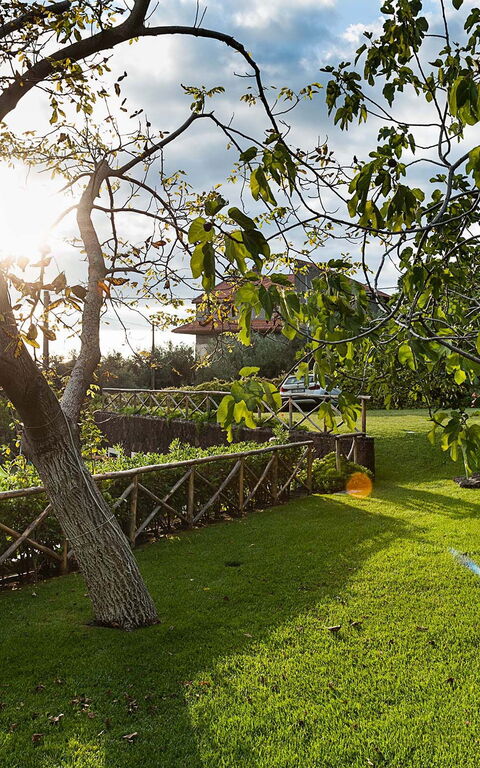 Villa Montefiore: Garten