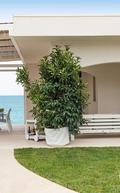 Villa Hermes: Außen, Draussen, Schwimmbad