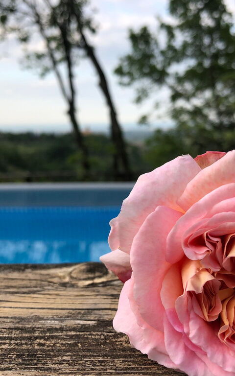 La Nocciola: Draussen, Schwimmbad