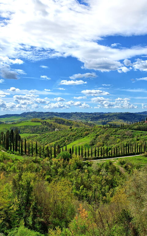 Santo Stefano: Ansichten