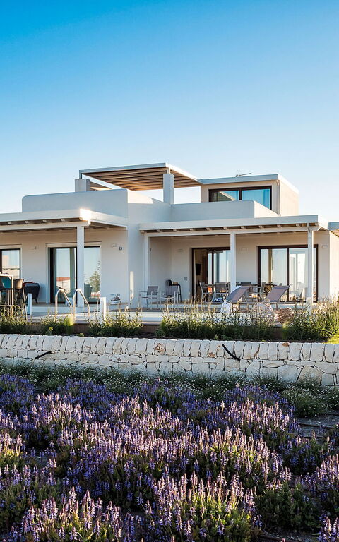 Villa San Lorenzo Ulivo: Außen, Draussen