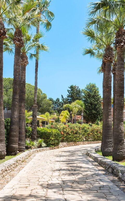 Villa Madda: Draussen, Garten