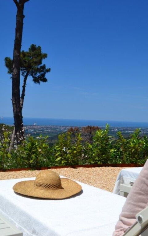 Casarosa Di Mariasole: Draussen, Sommer