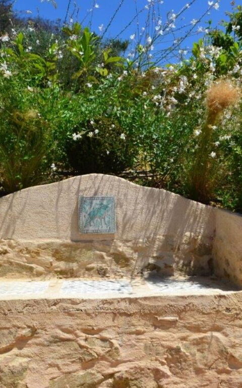 Casarosa Di Mariasole: Draussen, Sommer