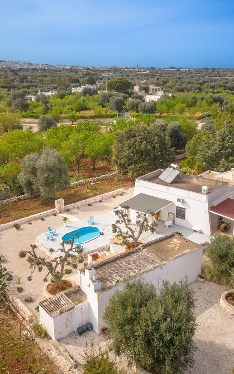 Villa Narkive: Außen, Garten