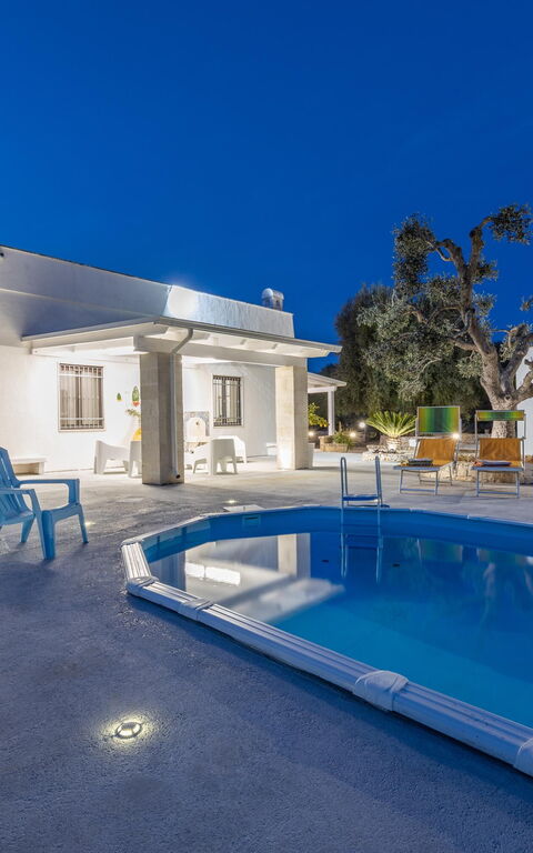 Villa Narkive: Schwimmbad