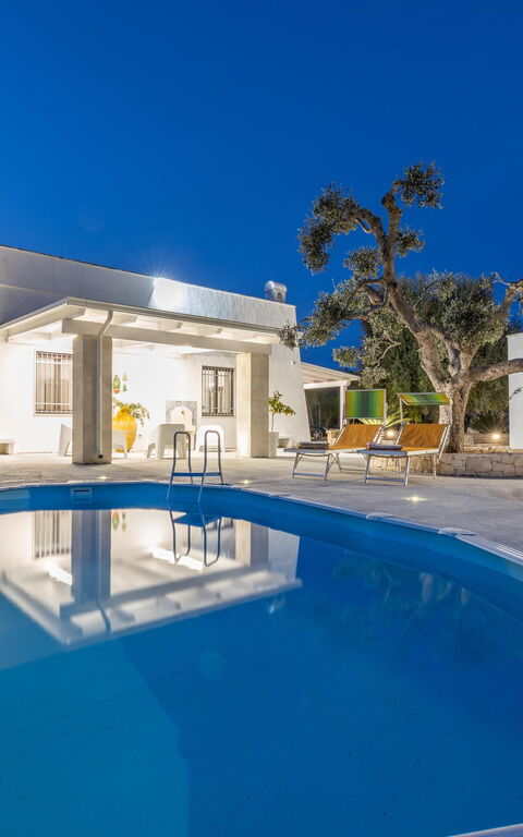 Villa Narkive: Schwimmbad